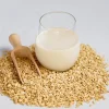 vegan-non-dairy-alternative-oat-milk-in-glass-2023-11-27-05-28-50-utc vegan-non-dairy-alternative-oat-milk-in-glass-2023-11-27-05-28-50-utc